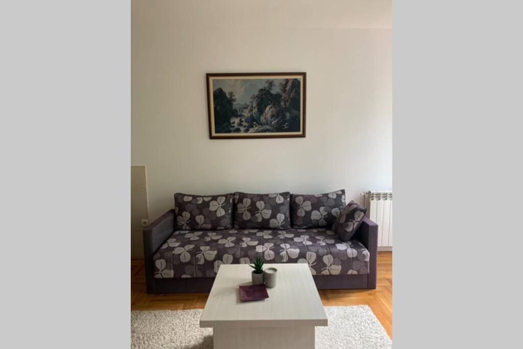 Renovated Cozy Studio 7 At Top Location - Available For Long Term Rentals Novi Sad Exterior photo